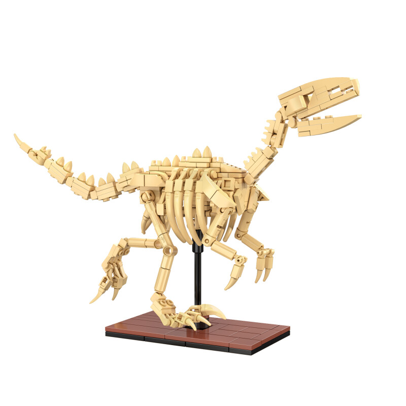 CaDa dinozavrov forsil: Velociraptor C59014W