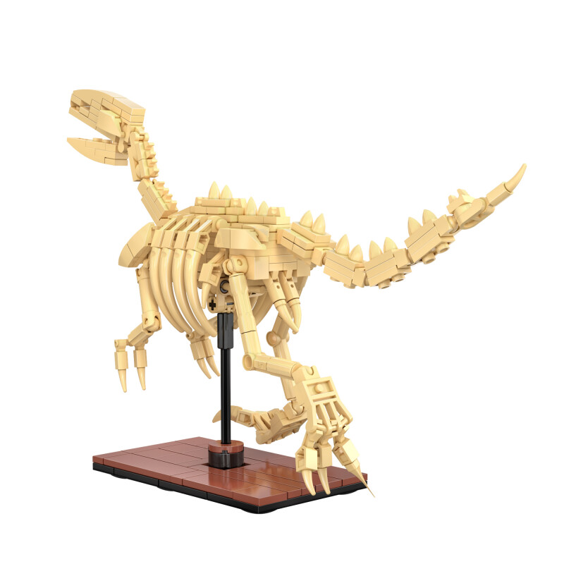 CaDa dinozavrov forsil: Velociraptor C59014W