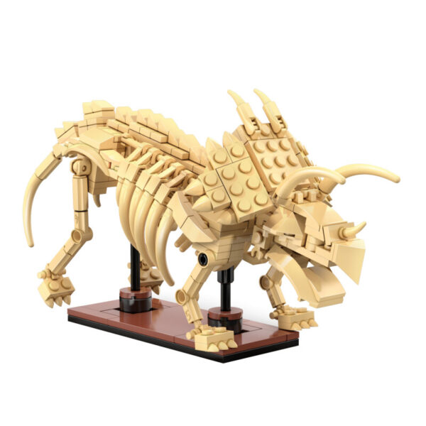 CaDA dinozavrov fosil:Triceratops C59013W