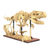 CaDa dinozavrov forsil: Velociraptor C59014W